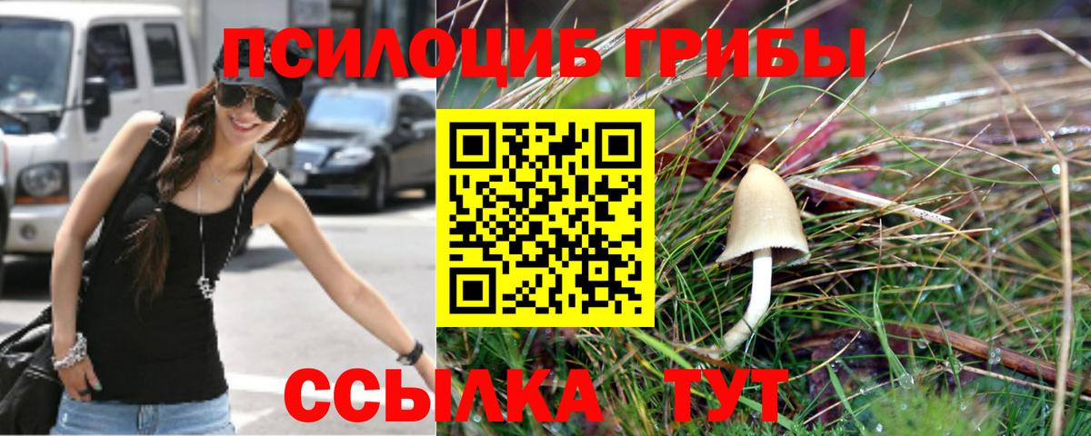 Галлюциногенные грибы Psilocybine cubensis Новоуральск