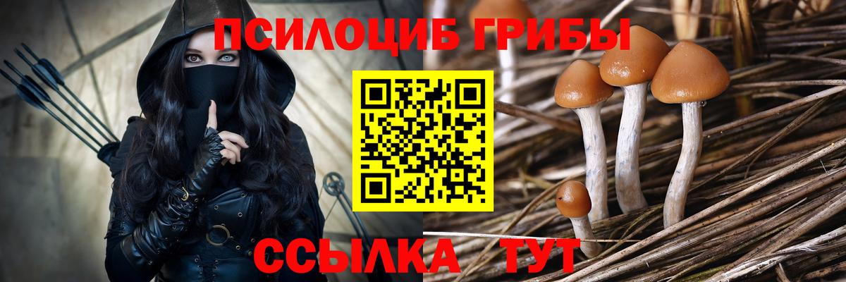 Новоуральск  Псилоцибиновые грибы Magic Shrooms  Вход с VPN 