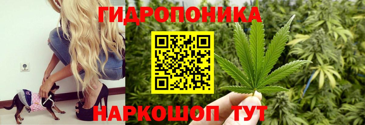 Каннабис индика  Вход с VPN  Бошки марихуана Amnesia  Канабис ГИДРОПОН  Бошки Шишки VHQ  Новоуральск 